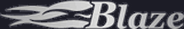 Blaze Telecommunications Inc.